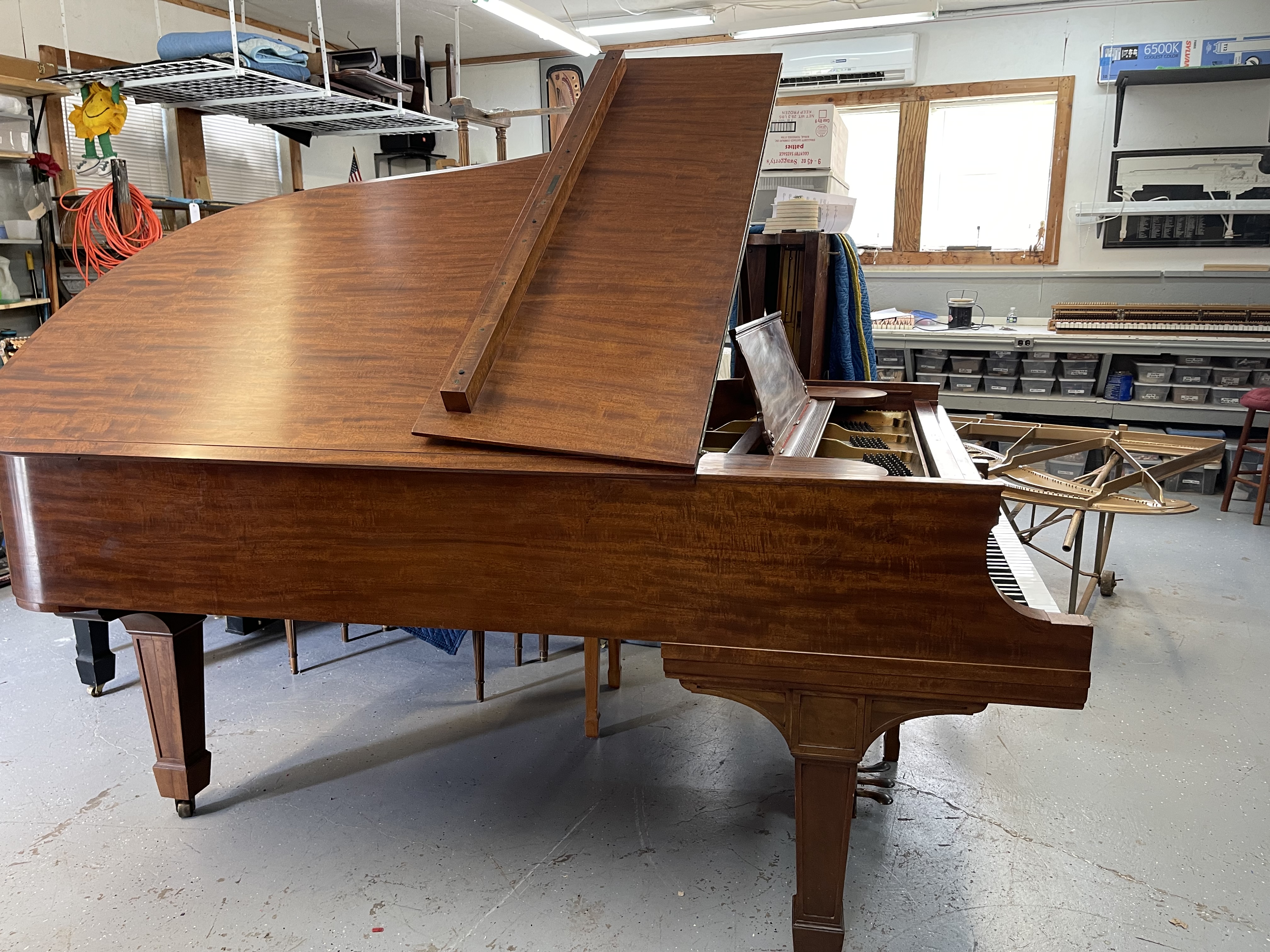 Steinway Grand Piano