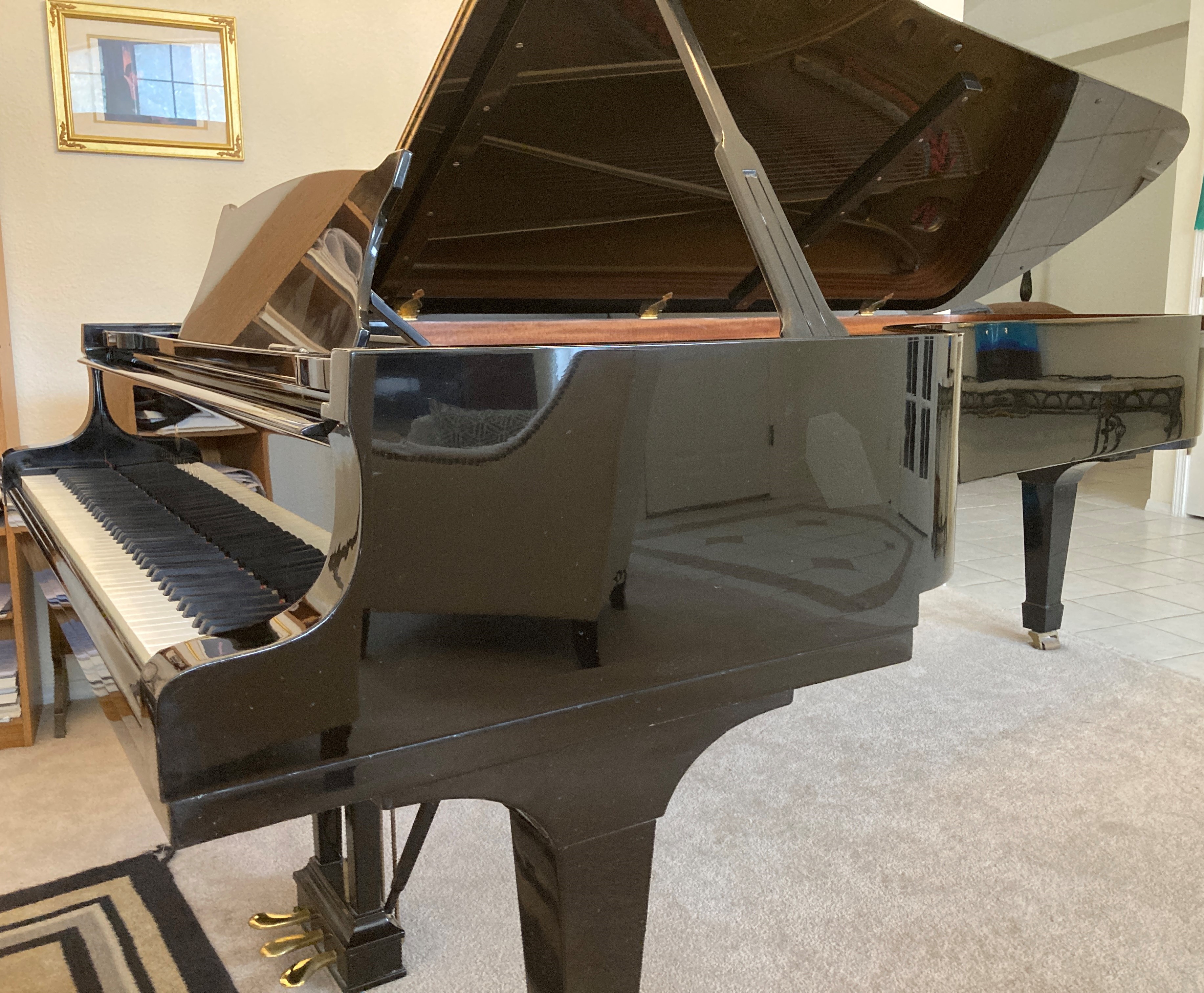 Hamburg Steinway D Concert Grand; 1-Piece Ivory & Ebony Keys