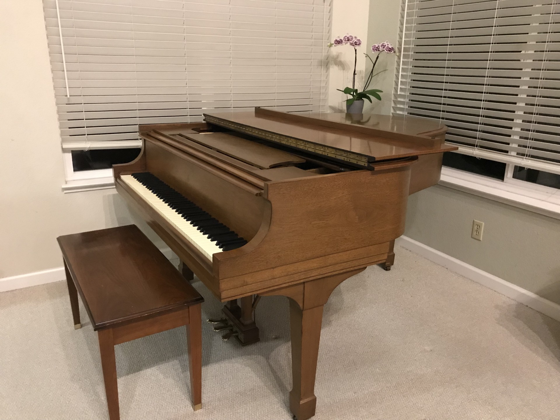 Steinway Grand Piano Model M