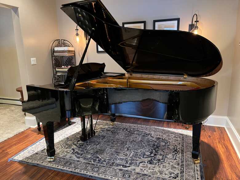 2022 Estonia L210, one owner, w/ Piano Life Saver system