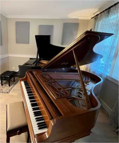 Gorgeous Steinway M - Excellent Condition