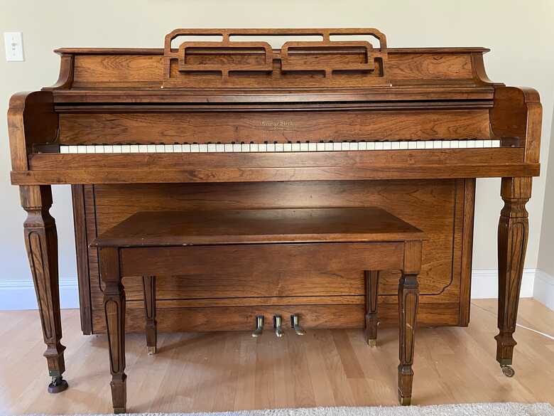 Handsome George Steck Console 