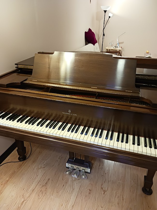 Steinway Model M Mahogany 1925