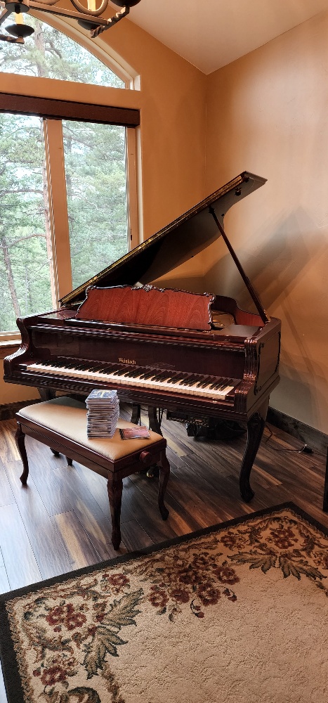 2004 Weinbach (Petrof) Baby Grand Chippendale style