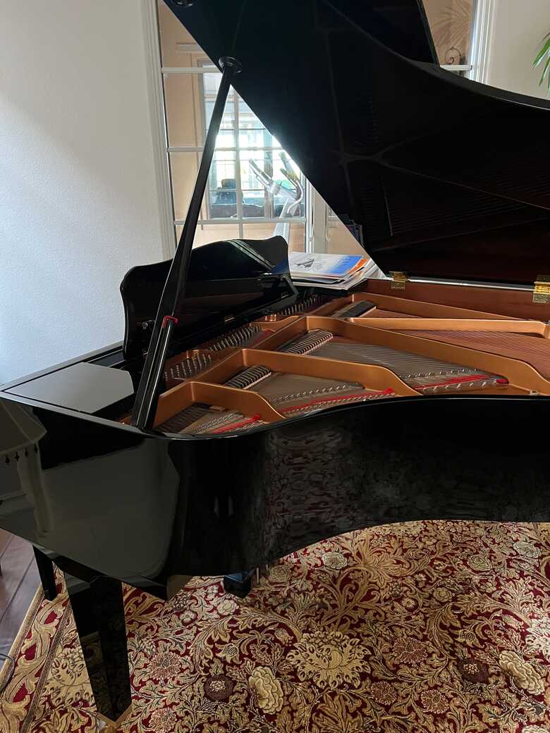 Rarely used Baby Grand in immaculate condition