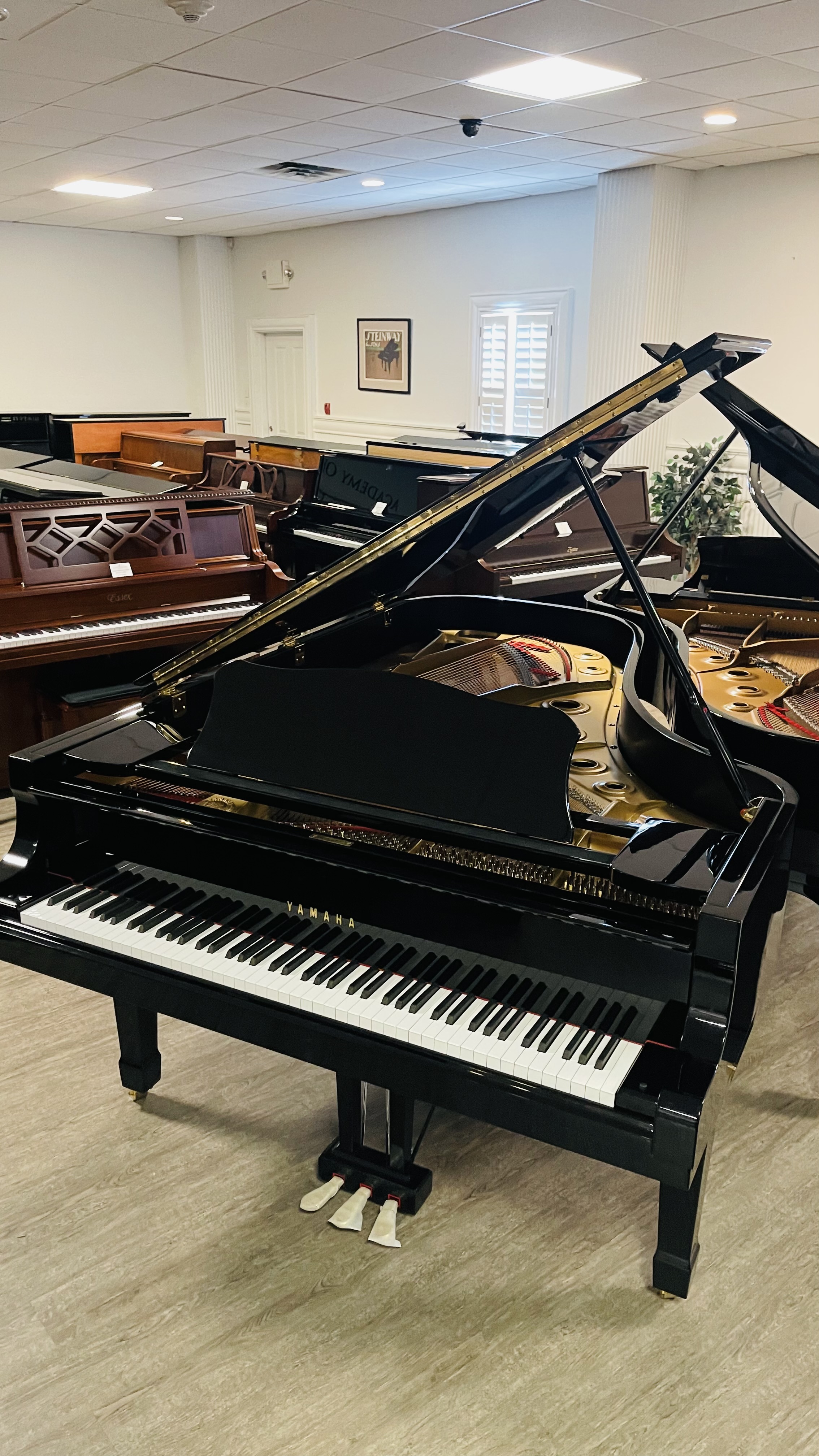 Yamaha C7 Semi-Concert Grand (Huge Sound)