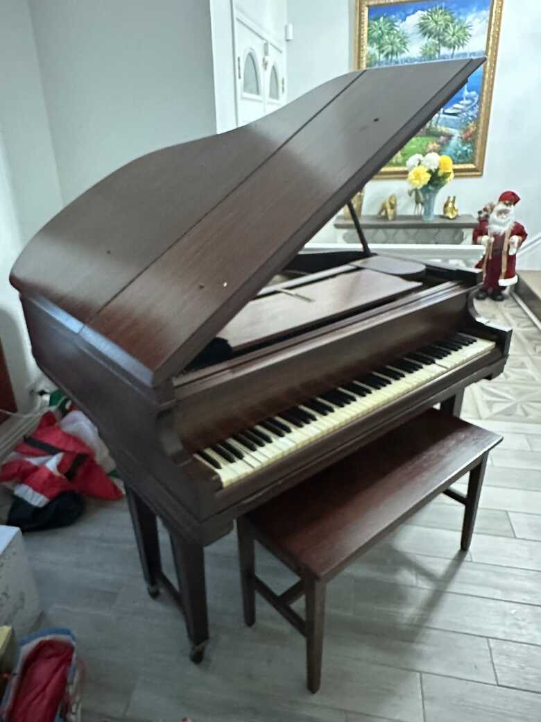 Beautiful restored Baby Grand Antique 1920s Chickering 
