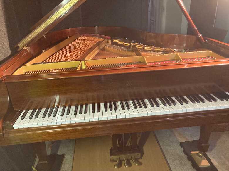 Steinway M great sound and look