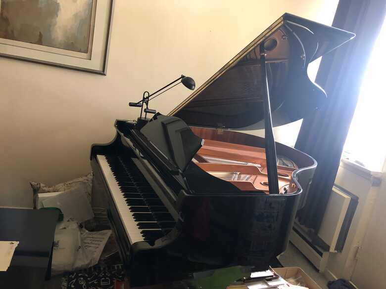 Recently Tuned Steinbergh Baby Grand