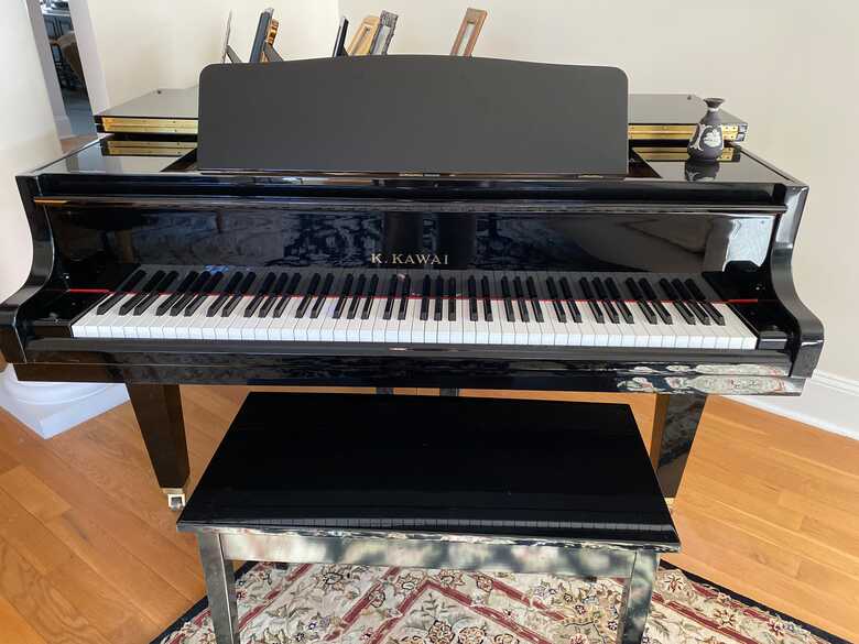 Piano is in pristine condition 