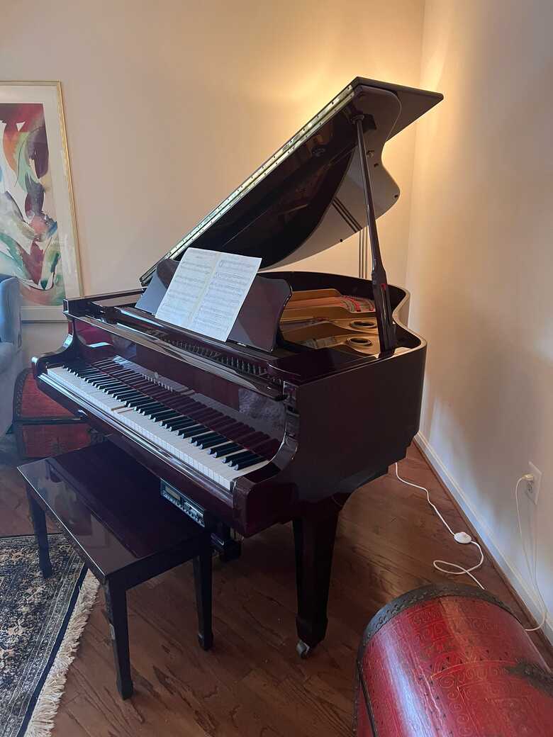 Player Piano – Excellent Condition