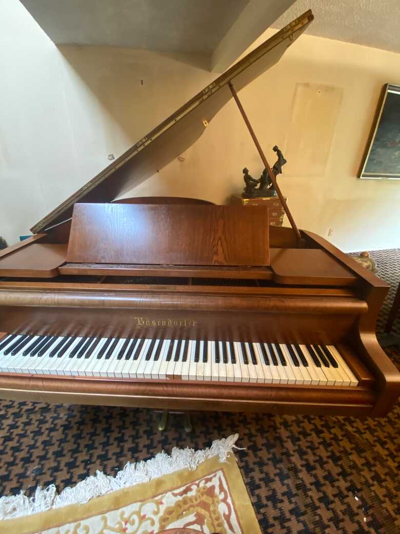 Vintage Bosendorfer grand piano (1895-1910)
