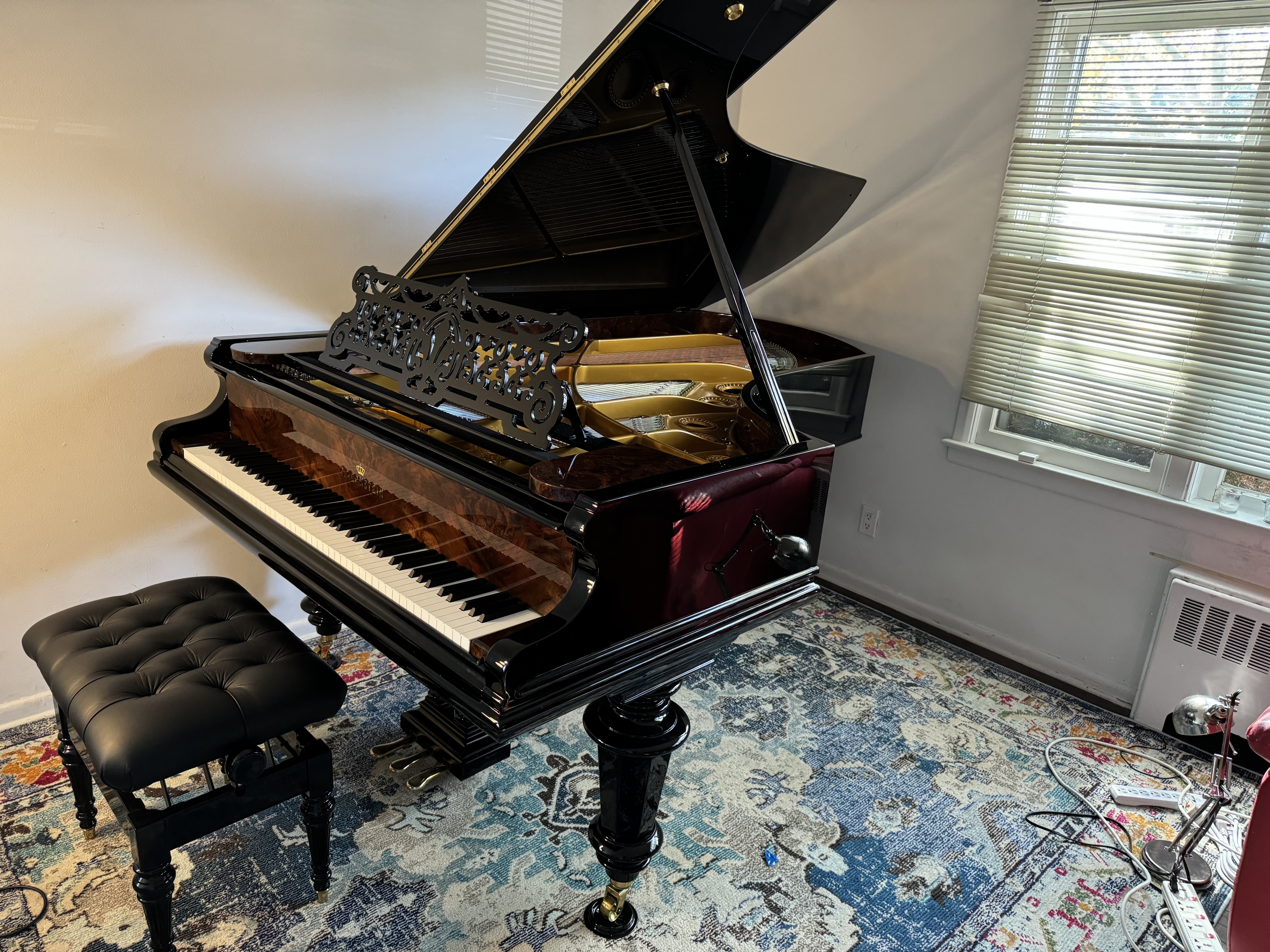 Rare Magnificent C. Bechstein Model IV Piano