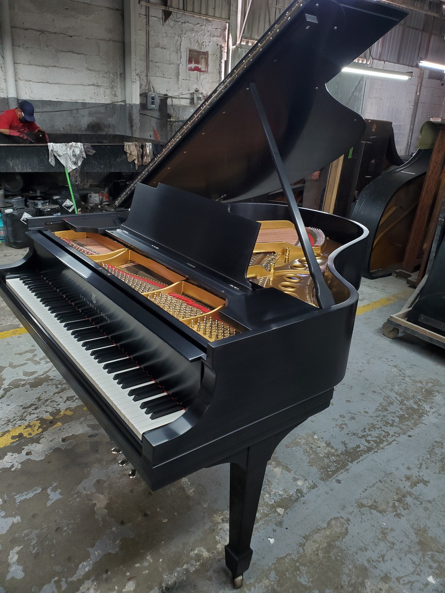 Steinway M Restored 2023 Better then new!