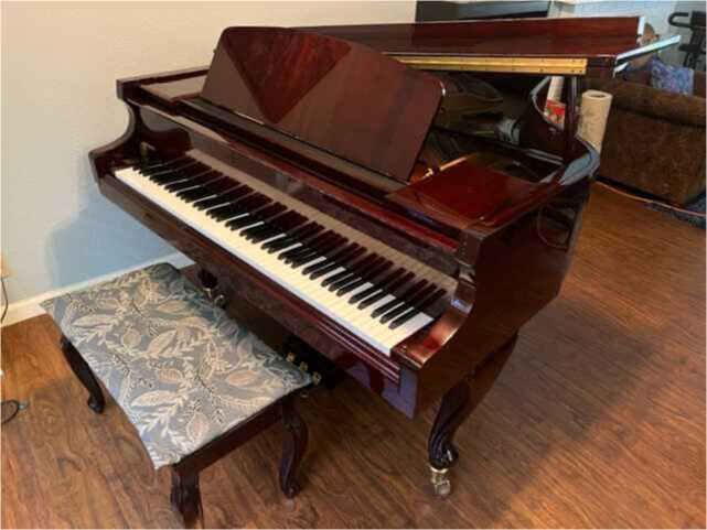 Gorgeous George Steck Baby Grand