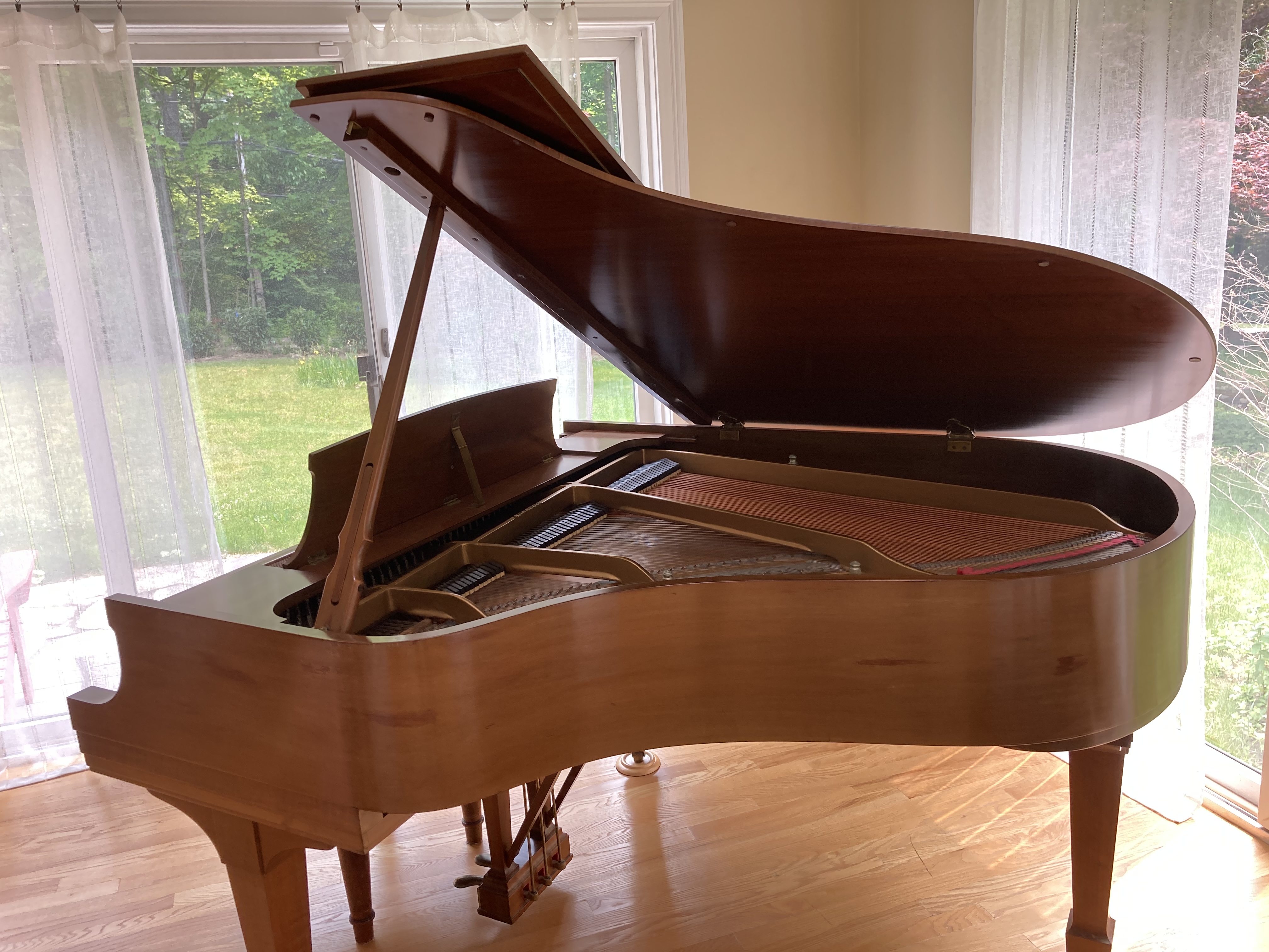 Walnut Model M Steinway--very good condition 