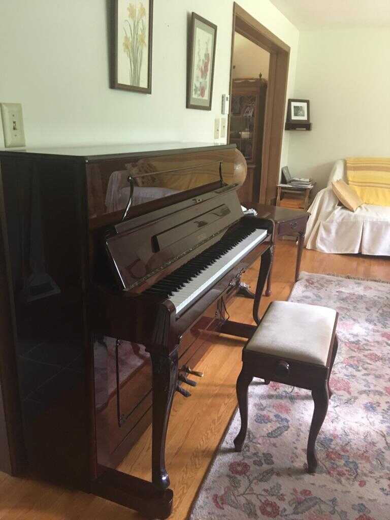 Upright Petrof Piano in a Great Condition