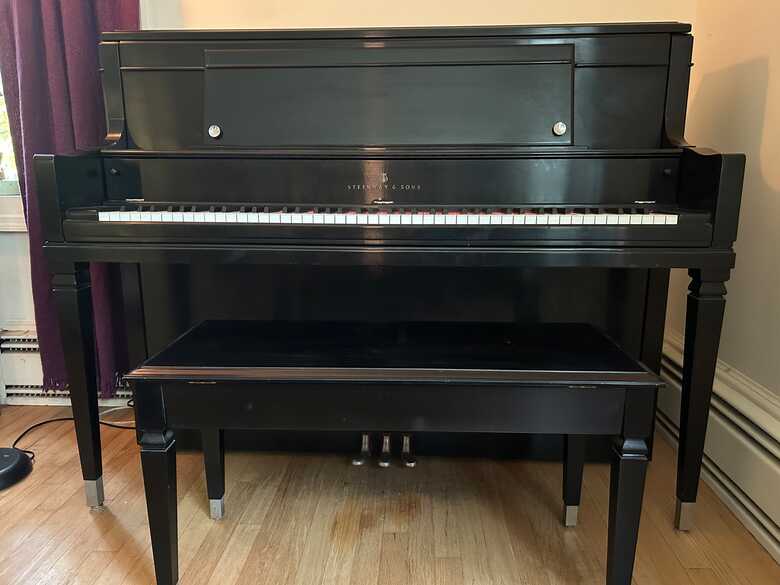 Steinway Upright Piano - $10,500 (Philipstown NY)