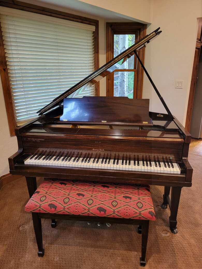1920's George Steck Duo-Art Player Piano