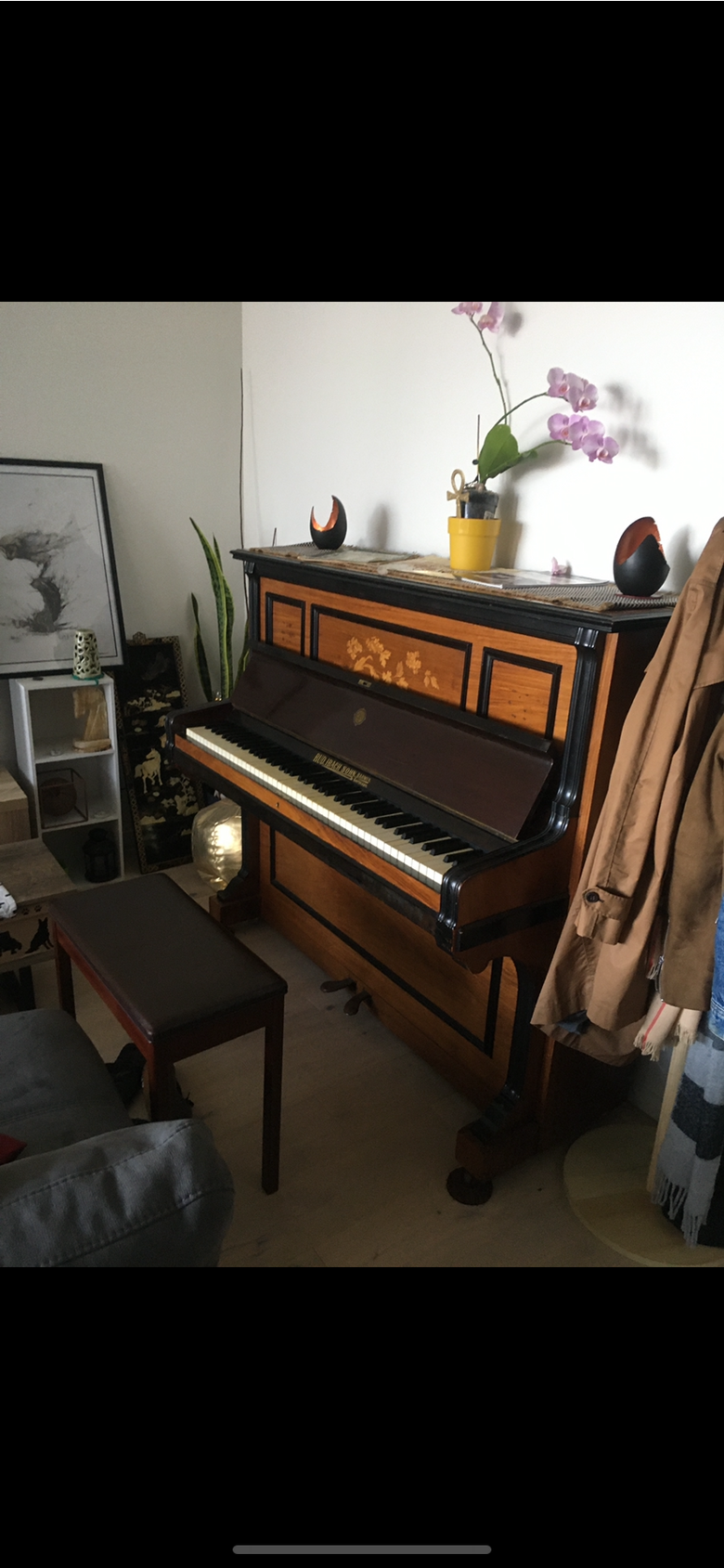 Original 1901 Rud Ibach and Sohn Antique Upright Piano