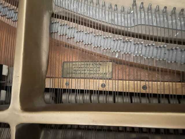 Elegant Steinway in “as new” condition, at a Bargain Price!