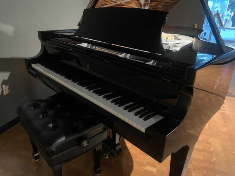 Exquisite Spirio Black Onyx Duet Model B Steinway