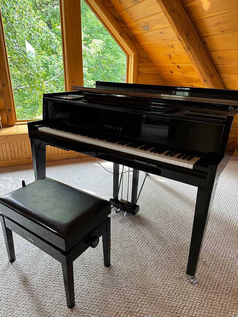 Beautiful AvantGrand N3 Hybrid Grand Piano For Sale