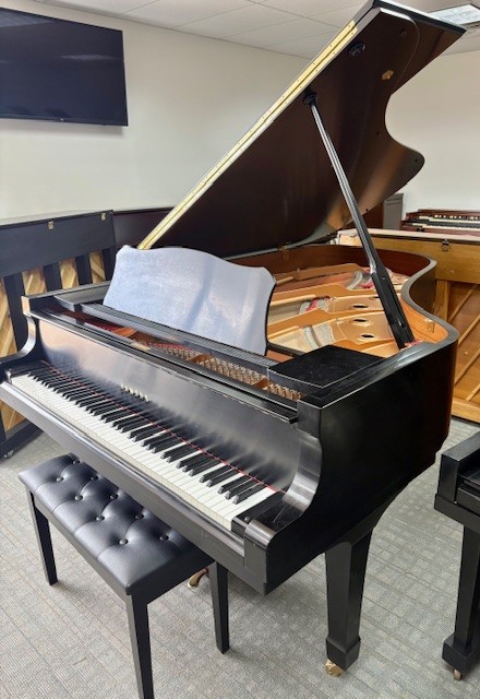 YAMAHA C6 