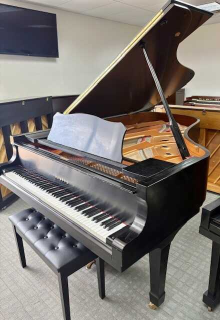 YAMAHA C6 