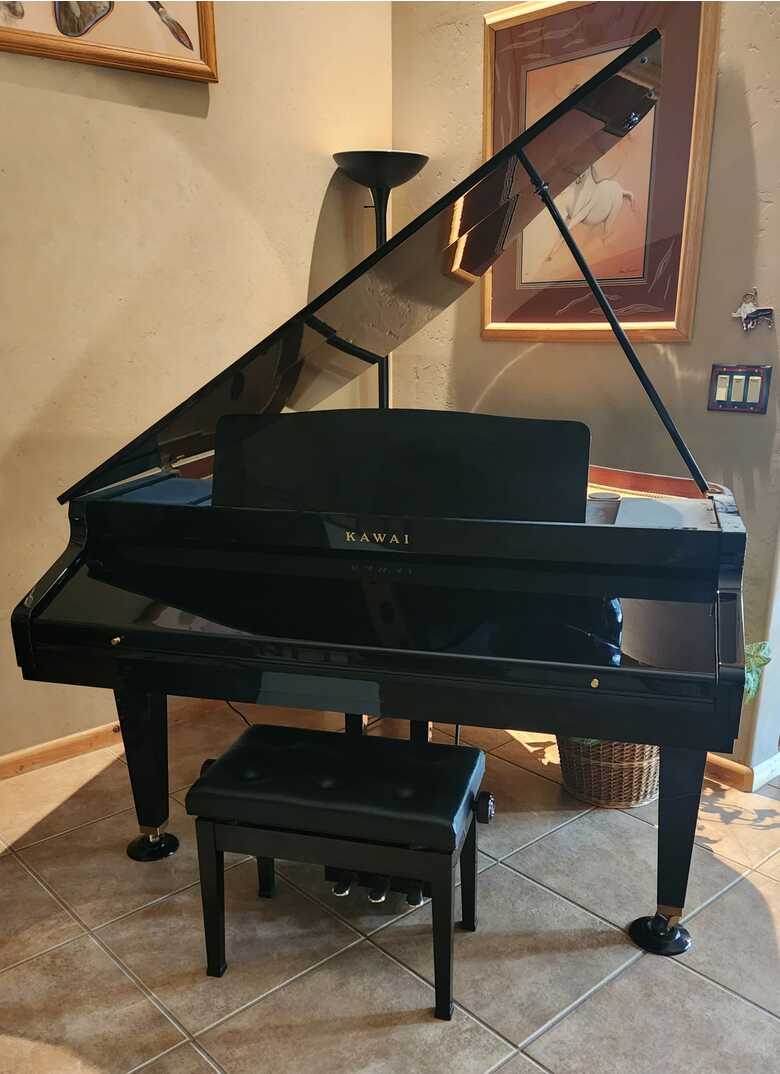 Player/Grand piano needs good home
