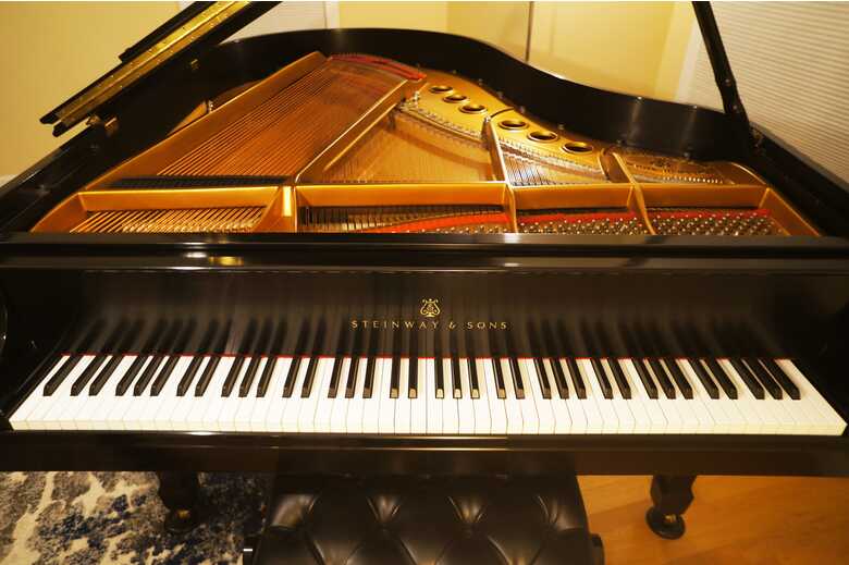 2002 Steinway M, Pristine, Technician Owned w. QRS System