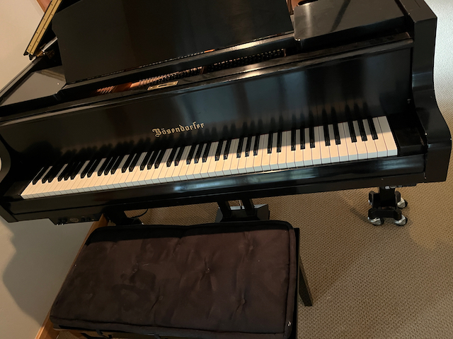 Stunning Bosendorfer Baby Grand