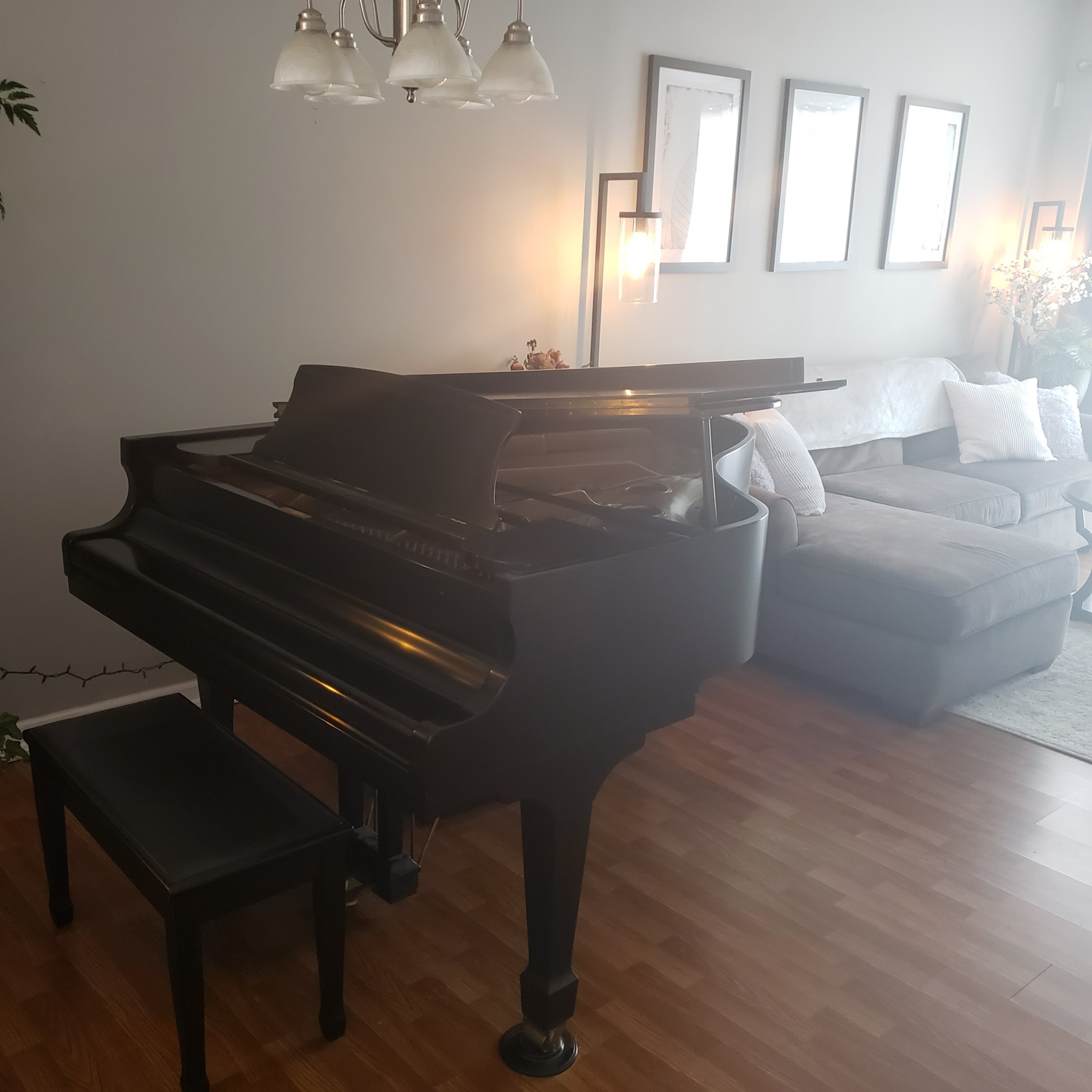 Raleigh NC 6 ft Grand Piano