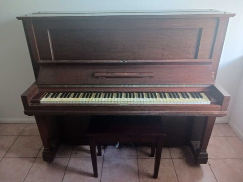 Steinway Upright / Vertegrand Piano