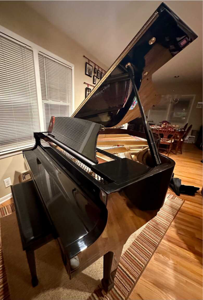 Essex EGP173 Grand Piano polished Ebony 