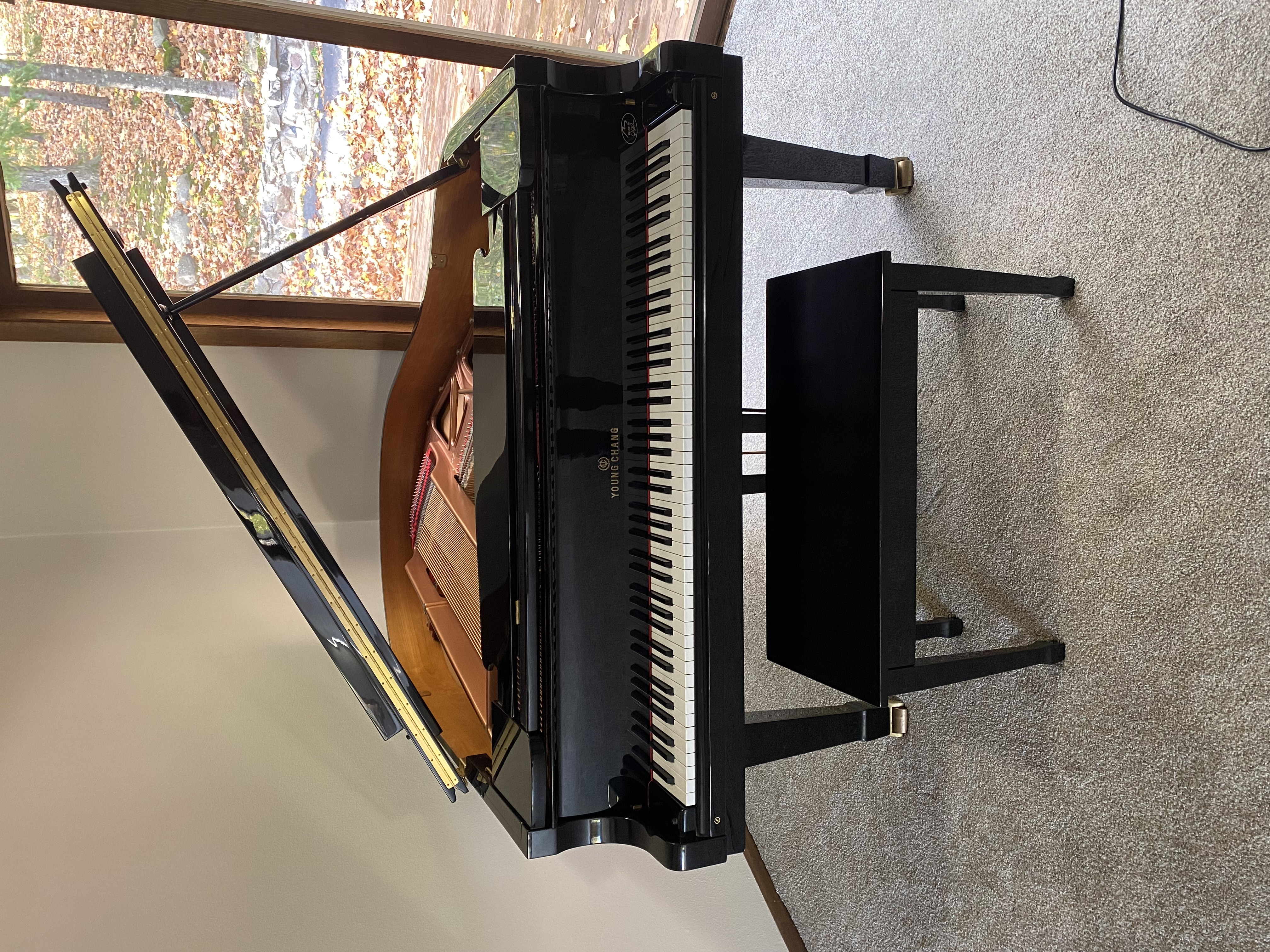 Young Chang baby grand excellent condition