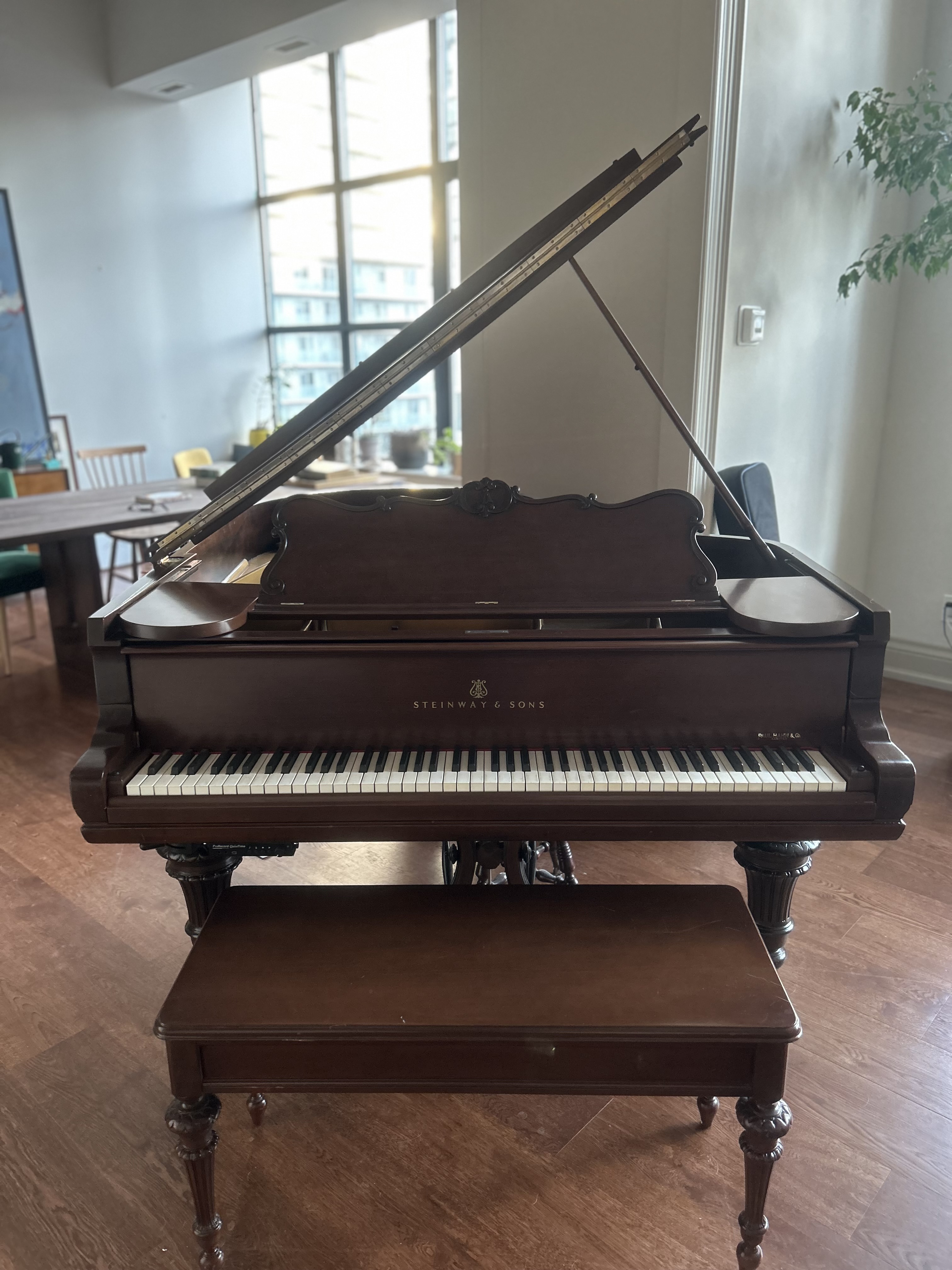 Rare and Unique 1894 Steinway