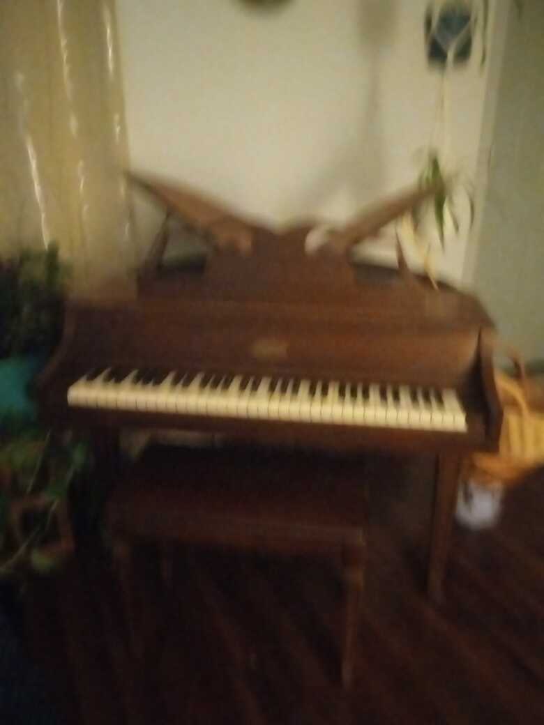 Butterfly Piano