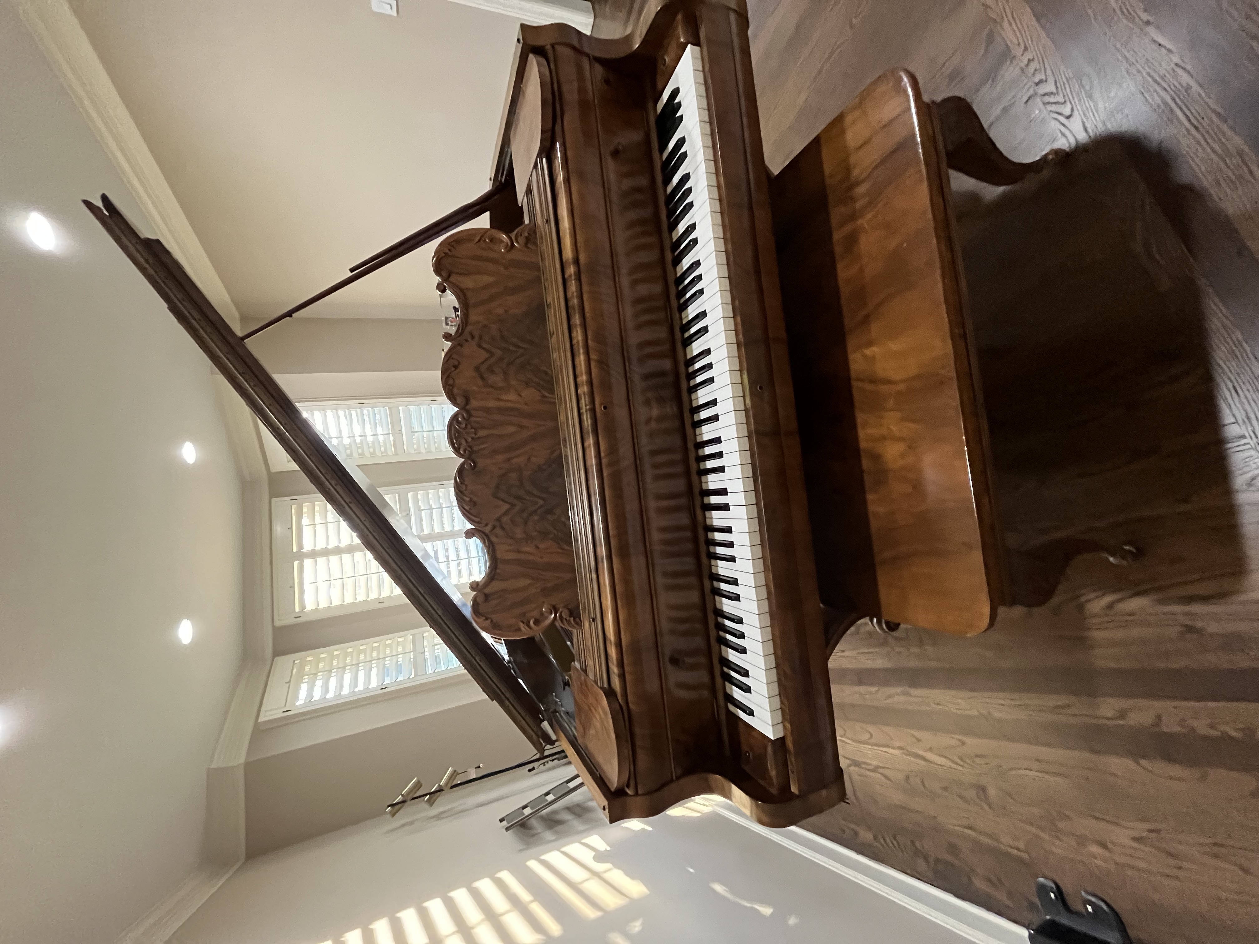 One of a Kind, pre-WWI Steger & Sons "Art-Case" Baby Grand P