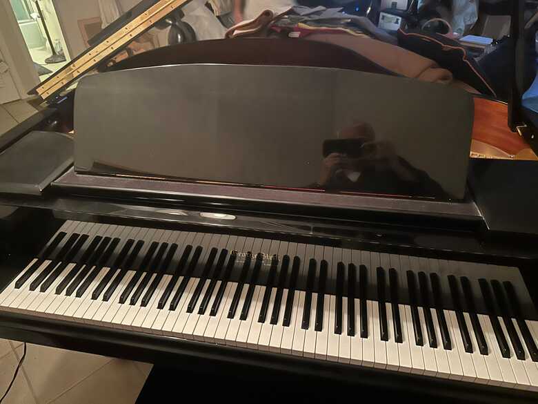 Beautiful George Steck Baby Grand Player Piano