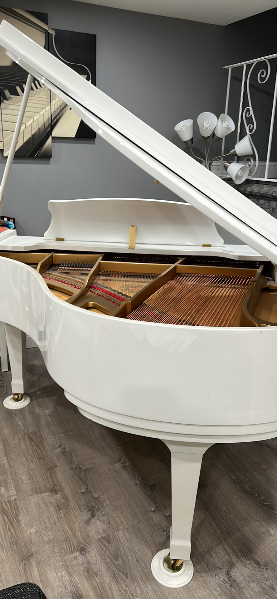 Gently used Baby Grand Piano
