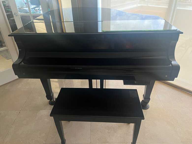 Young Chan Grand Piano in excellent condition