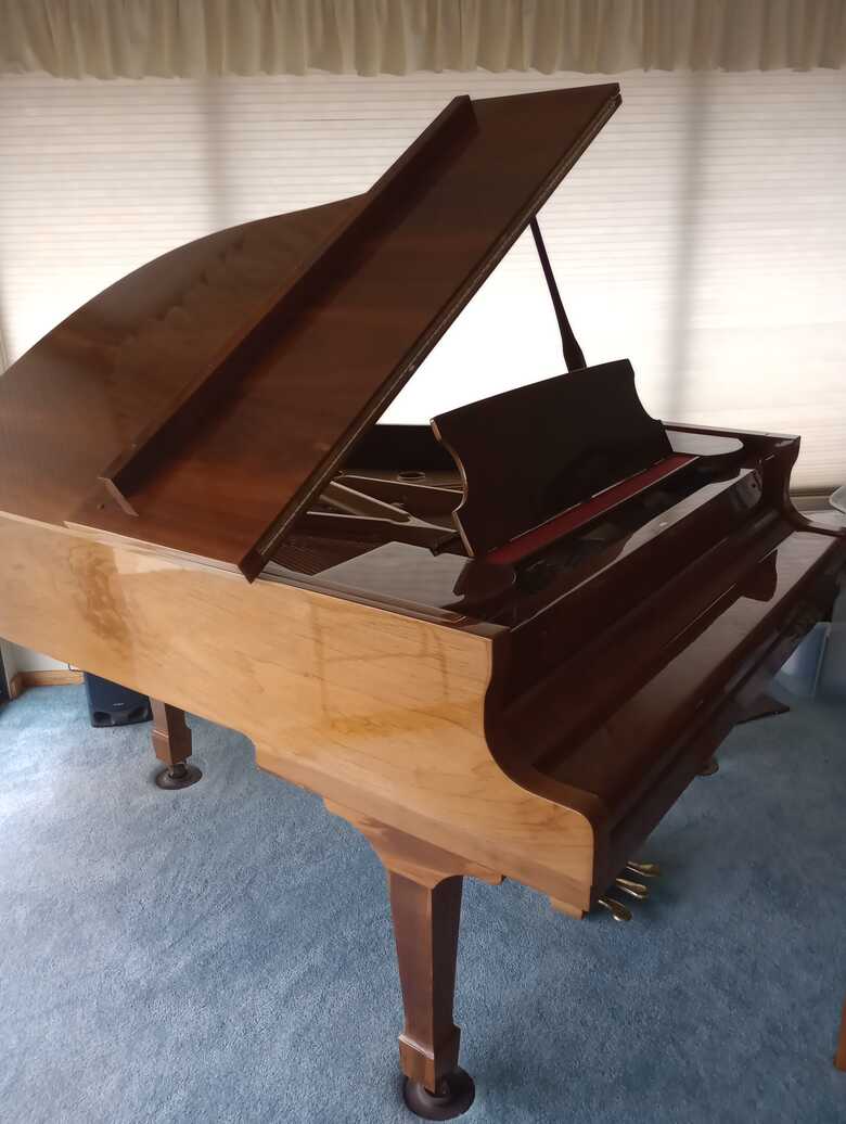 Beautiful baby grand piano