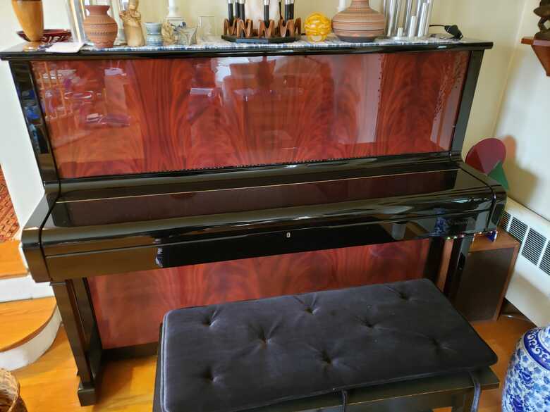 Rare and beautiful Ronisch upright-NEW PRICE REDUCTION!