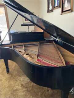 Steinway Grand Piano - L