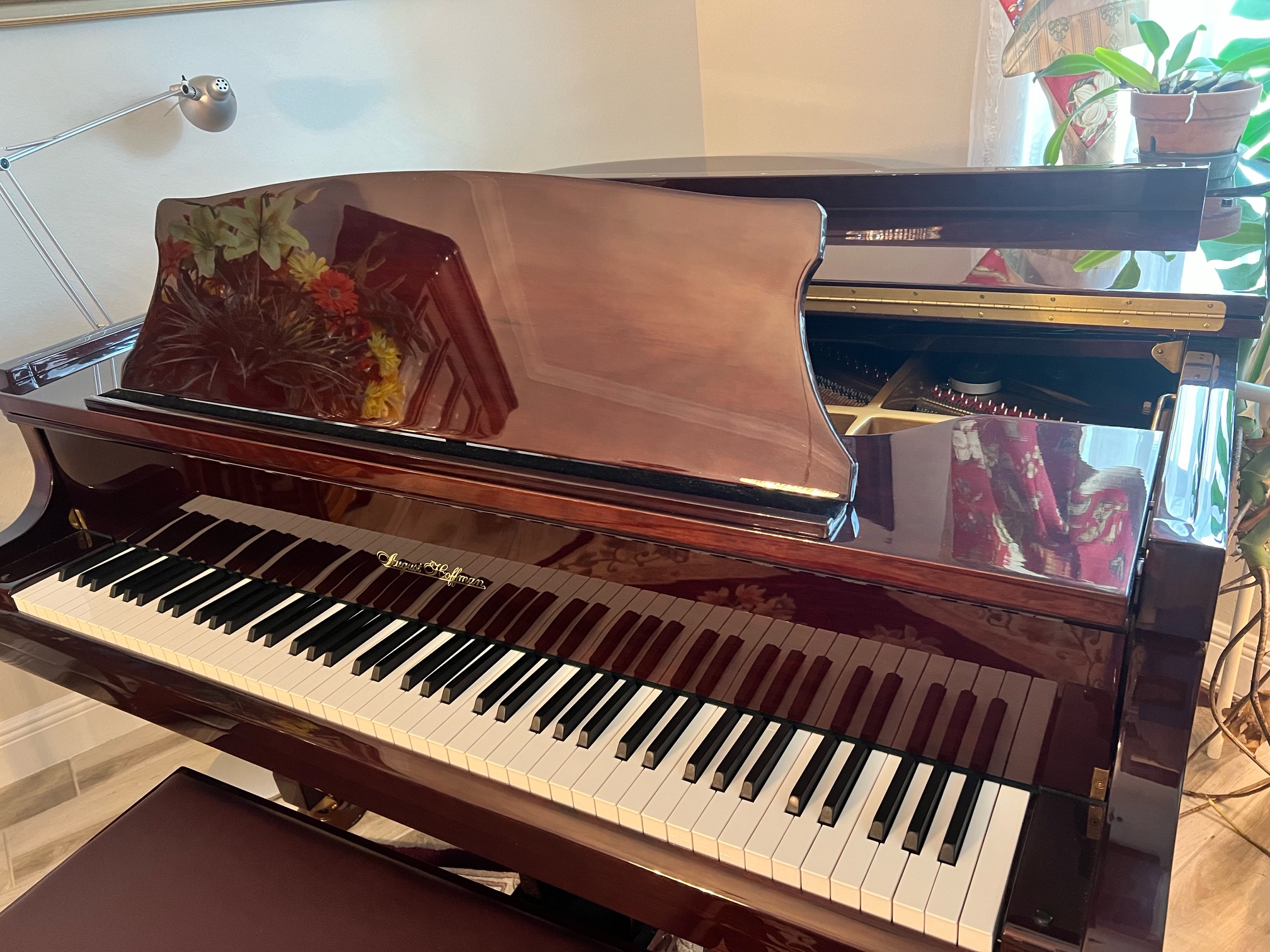 Like New Baby Grand with QRS Petine pianomation