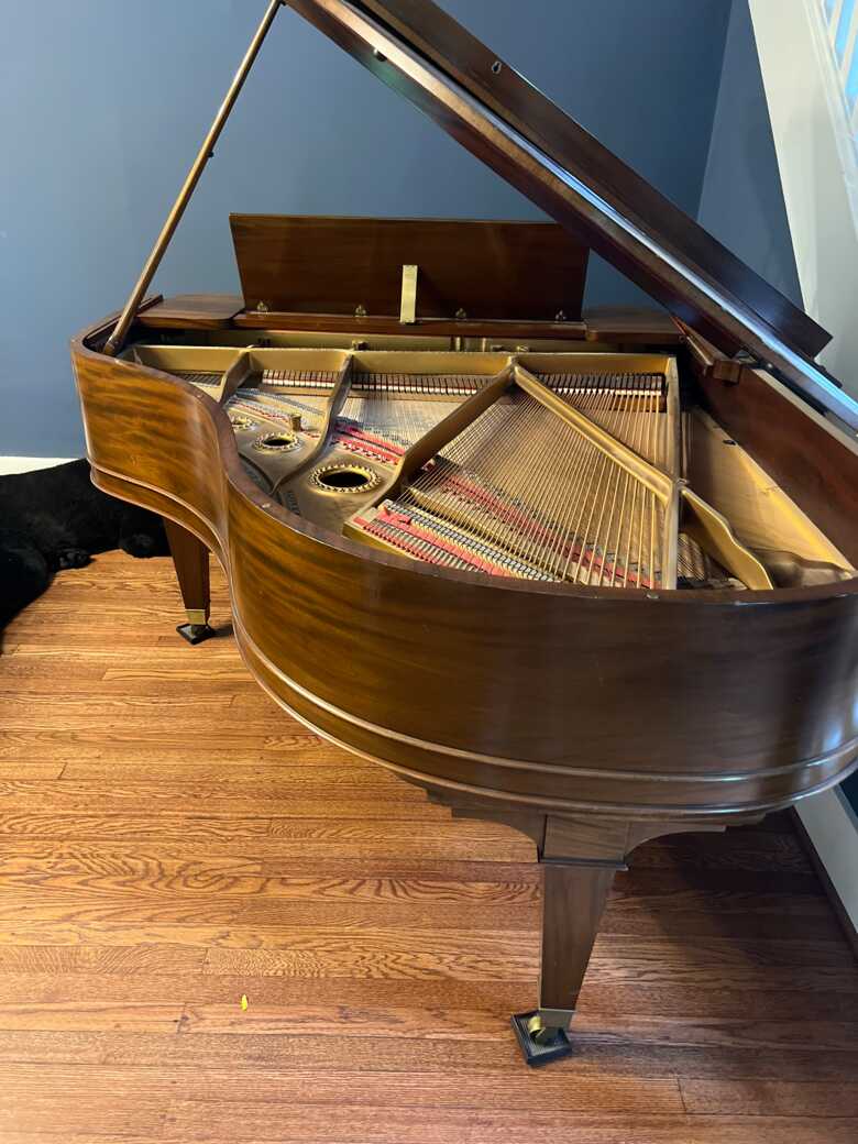 Family-loved Mason & Hamlin 1924 Grand Piano