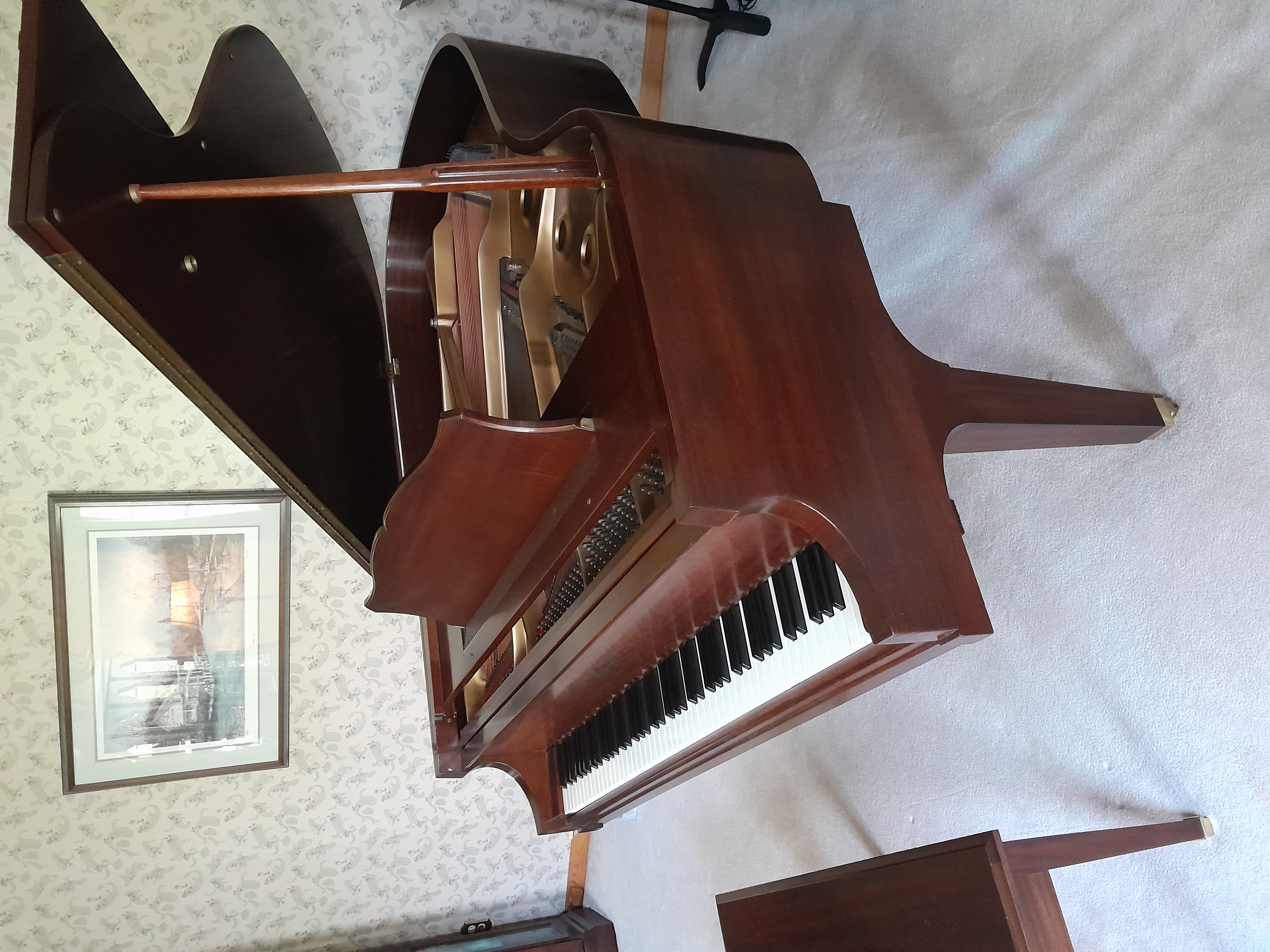 Chickering Grand - Baldwin - Excellent Condition