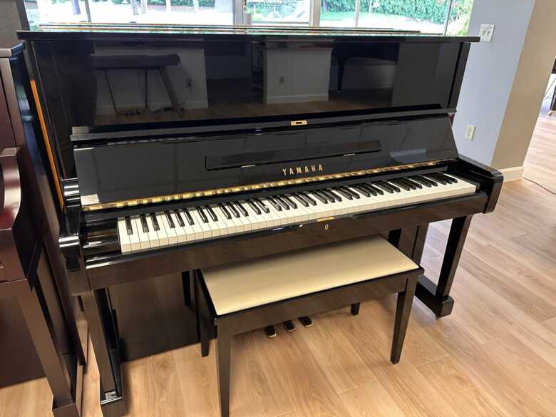 Pristine Yamaha U1