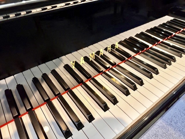 Yamaha Model C2